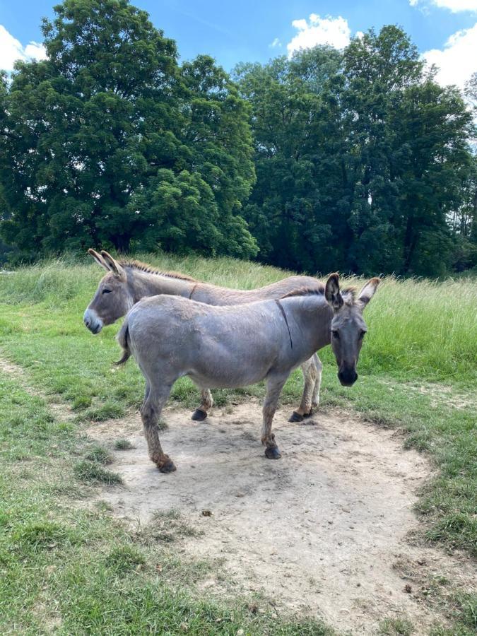 Domaine De Vadancourt Villa Maissemy Kültér fotó